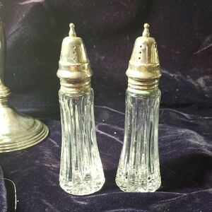 Stylish Silver and Clear Glass Salt and Pepper Shakers
